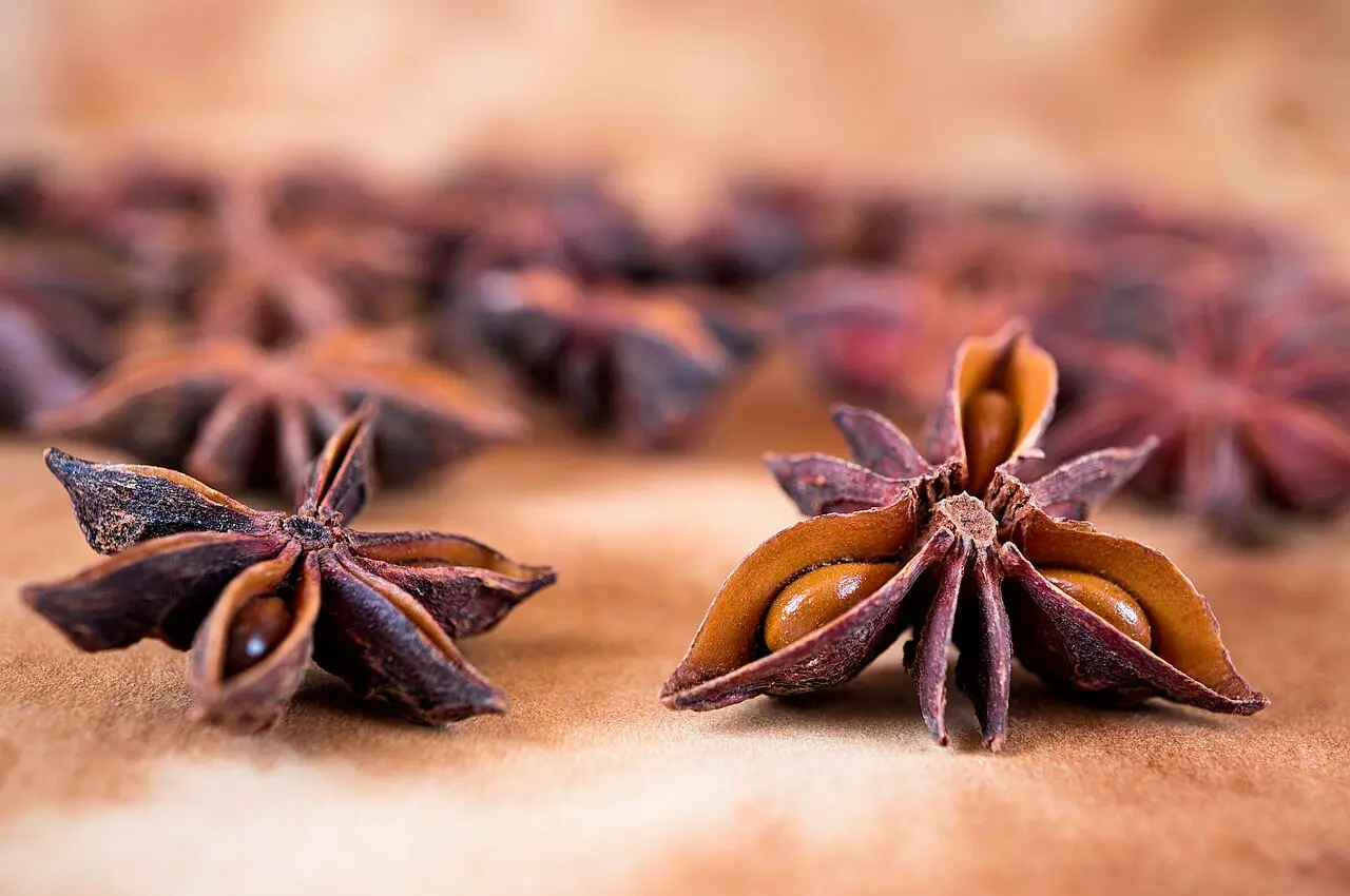 two star anise pods on wooden board, shallow DOF